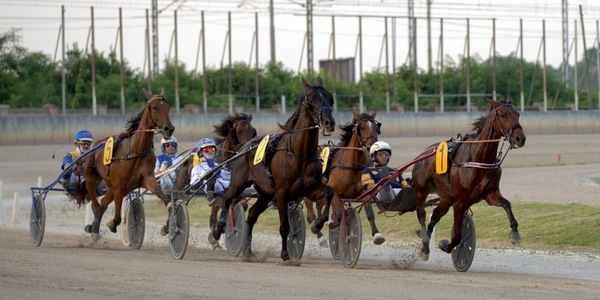 Padova, il Gran Premio Ivone Grassetto ha il suo campo partenti