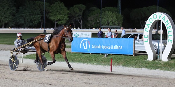 Padova, capolavoro Dubhe Prav: domina il GP Grassetto e firma il bis con Santo Mollo