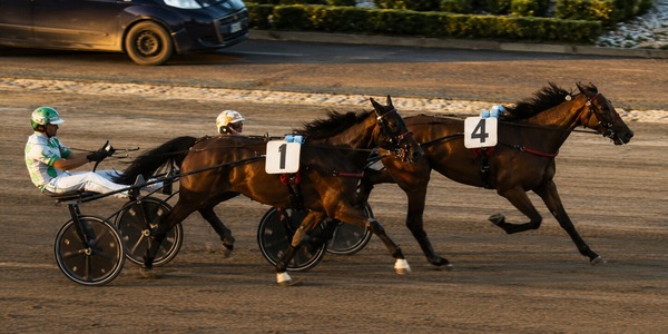 Torino, Ice Wise As e Ilias d’Arc volano in finale alle Breeders Course