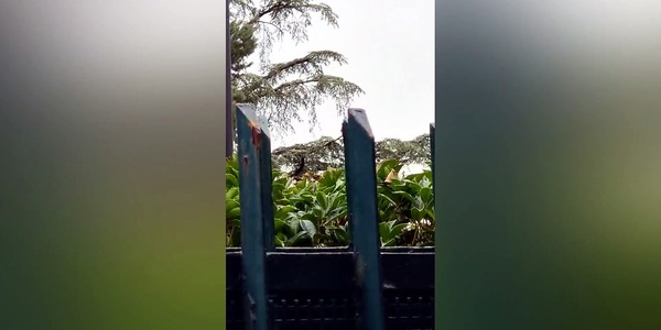 Milan, Cardinale lascia Milanello con il suo elicottero