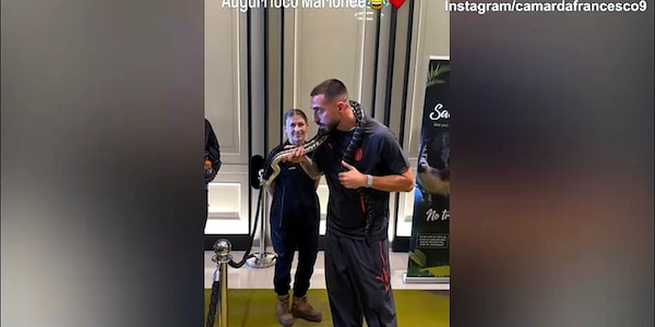 Milan, Gila festeggia il compleanno con un...serpente