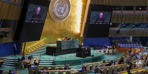 Onu, decisione Usa di trasmettere in streaming un'esecuzione costituirebbe tortura