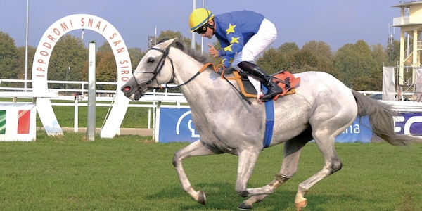 Milano chiama Ascot: San Siro prepara il Verziere, Champions Day con tocco italiano