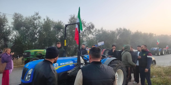 Lollobrigida, nel dl 60 milioni per il carburante agricolo, a brevissimo a imprese
