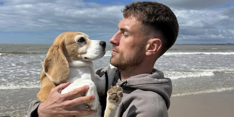 L'ex Juve disperato per la cagnolina scomparsa. L'annuncio social commuove