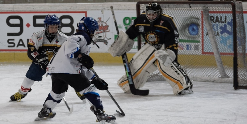 <p>Pinerolo Ghiaccio: il recap delle partite del fine settimana</p>