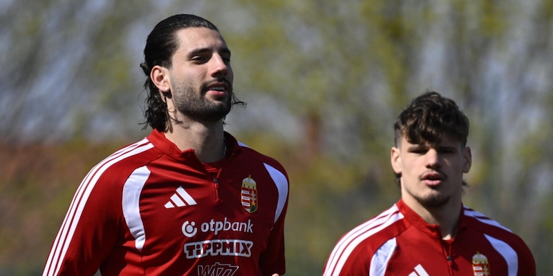 Pronostico Ungheria-Slovenia, Under 2,5 oppure Over 2,5? Meglio...