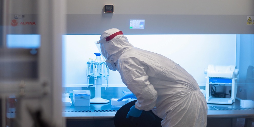 Allarme dal Regno Unito: "Si teme un'ondata di influenza suina"