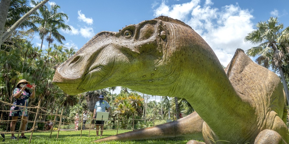 Spagna, scoperta spina dorsale di un dinosauro gigante