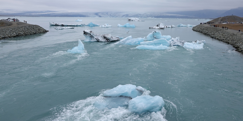 Ritrovata la "Pompei giurassica": il cimitero degli echinodermi