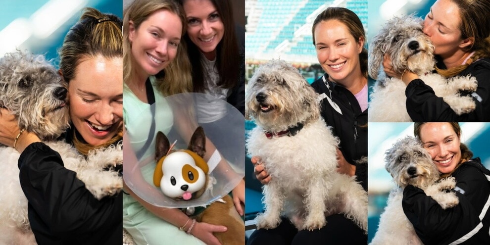 Danielle Collins, da bad girl a eroina degli animali: il nobile gesto a Miami