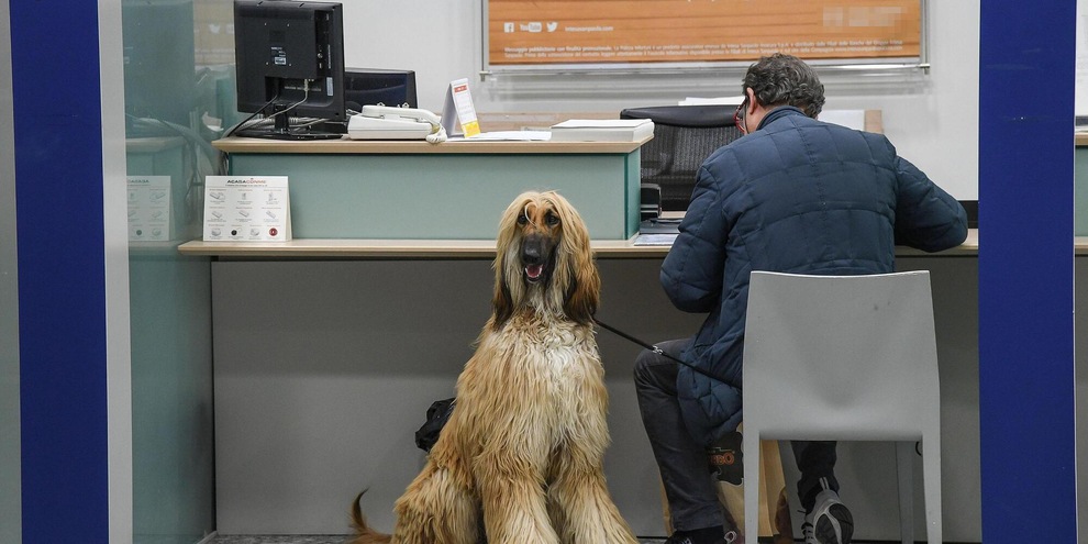 
            
            Domani al via bonifici istantanei senza extra-costi
          