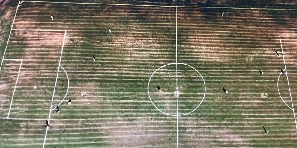 L'immagine del campo di Serie C che fa il giro del web. E i tifosi Juve ricordano il Galatasaray
