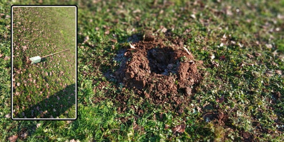 Sradicato l'albero dell'Athletic: l'ira di Bergamo contro gli idioti autori del gesto
 