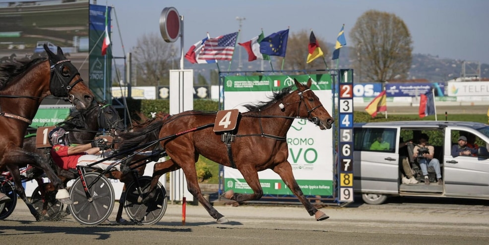 Ippica, Torino: Gran Premio Costa Azzurra e Derby dei 4 anni, è grande trotto internazionale il 6 aprile a Vinovo