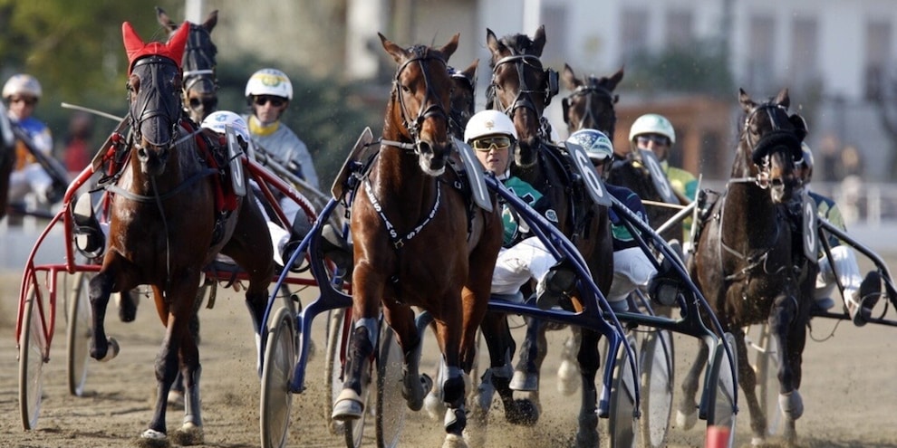 Ippica, Torino attende il GP Costa Azzurra: Vinovo casa del trotto europeo, una storia che si rinnova dal 1961