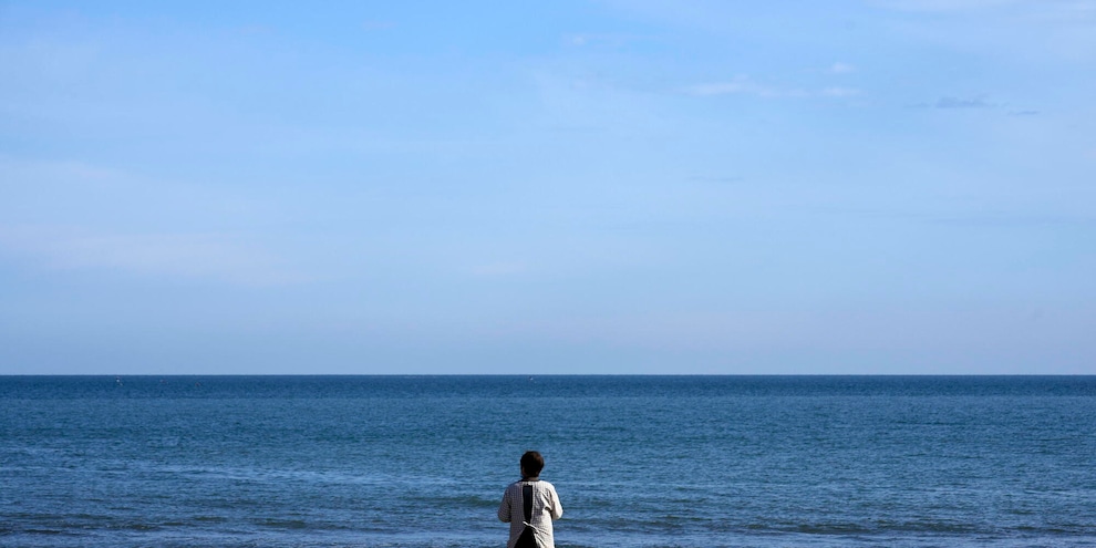 
            
            Terremoto in Giappone, registrate onde di 80 centimetri nel nord del Paese
          