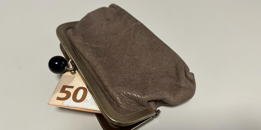 
            
            Crescono i redditi dichiarati nel 2025 (+4,7%), in testa gli autonomi
          