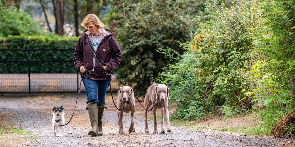 Petsonal trainer: quando il coach ha la coda